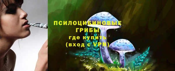 герыч Верхний Тагил