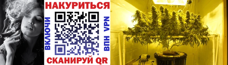 Каннабис OG Kush  Батайск 